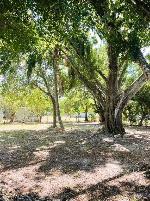 7365 Coon Road North Fort Myers, FL 33917 - Photo 12 of 12 a view of a tree in the middle of a yard