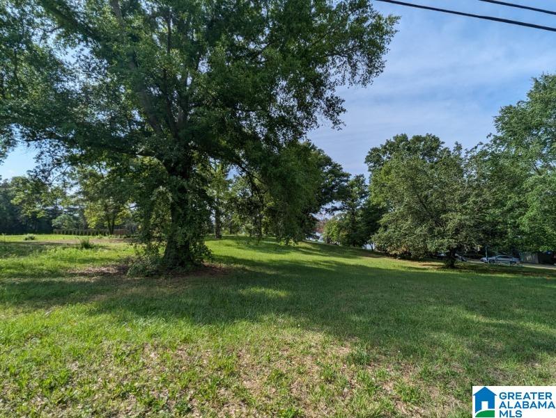0 Eureka Road, Unit 2 Lincoln, AL 35096 - Photo 7 of 16