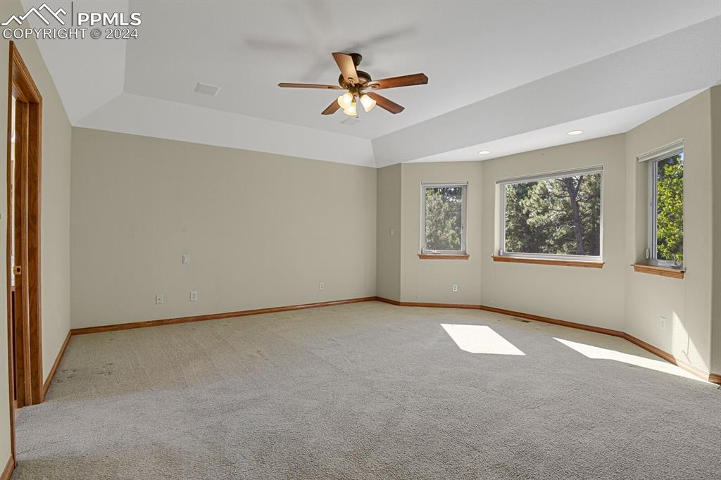 810 Dolan Drive Monument, CO 80132 - Photo 40 of 50 an empty room with windows and fan