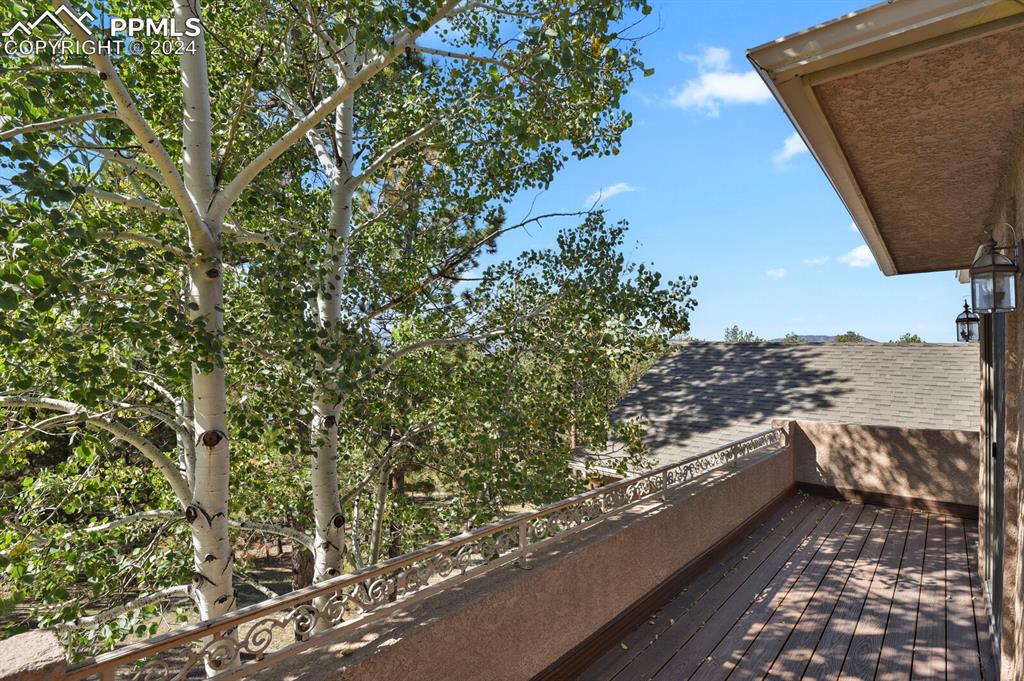 810 Dolan Drive Monument, CO 80132 - Photo 48 of 50 a view of a yard