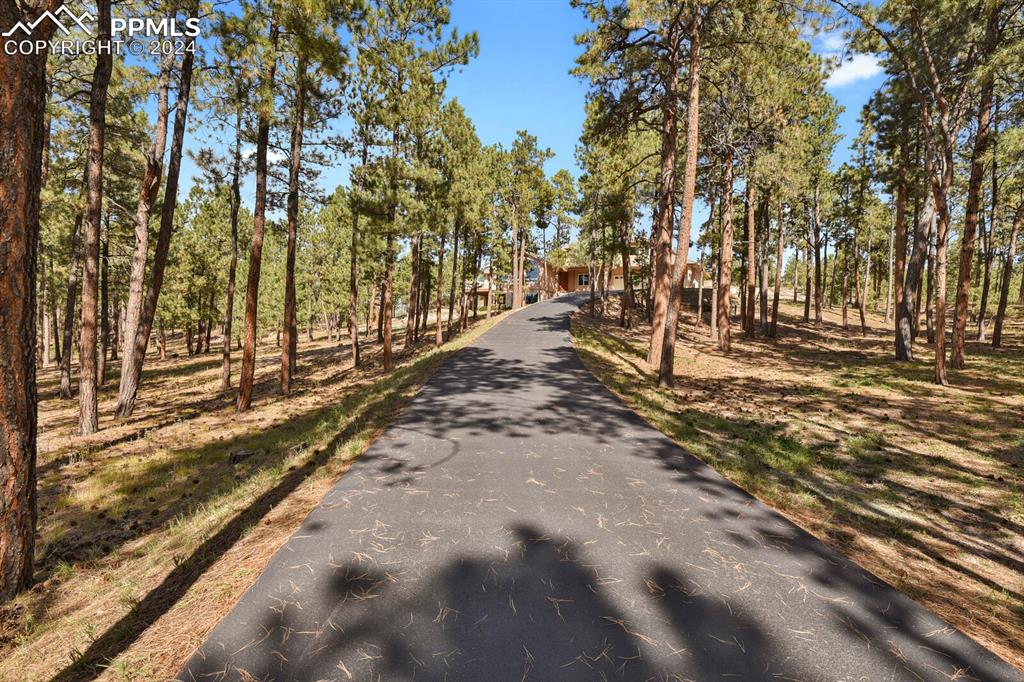 810 Dolan Drive Monument, CO 80132 - Photo 5 of 50 a view of a yard with wooden fence