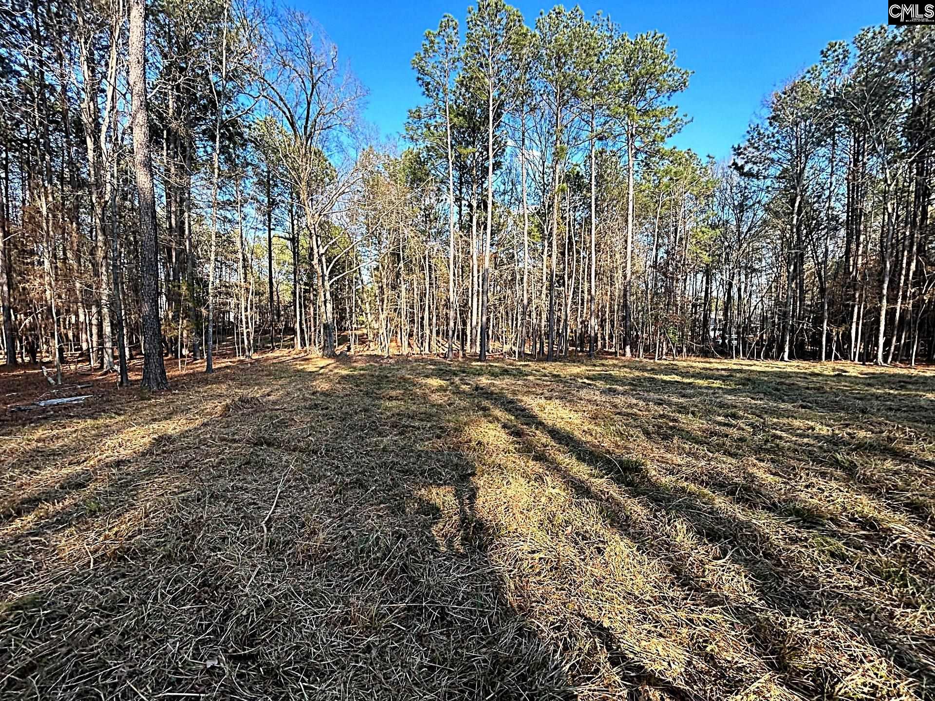 0 Circle H Woods Road Prosperity, SC 29127 - Photo 2 of 21