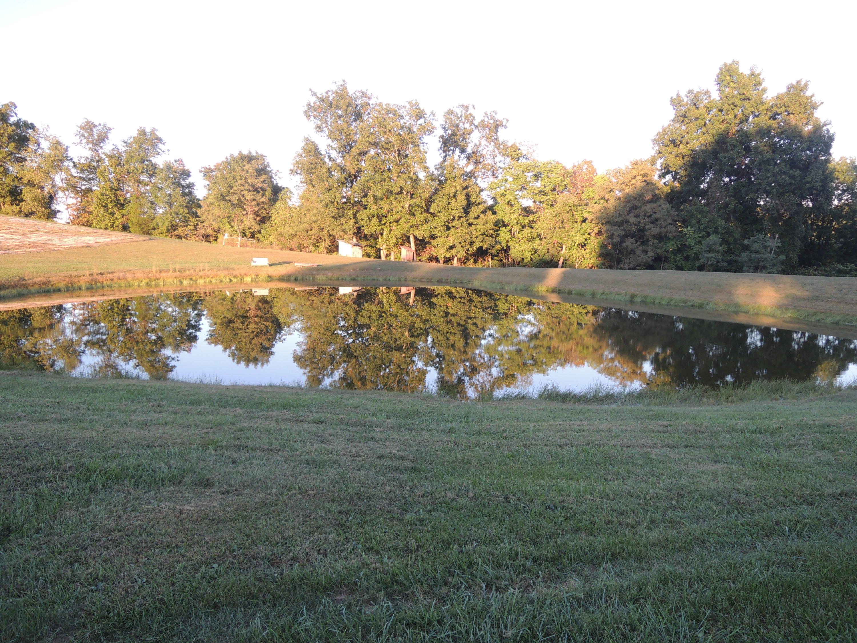 4534 Doubletop Road Jamestown, TN 38556 - Photo 20 of 34 Allen 022