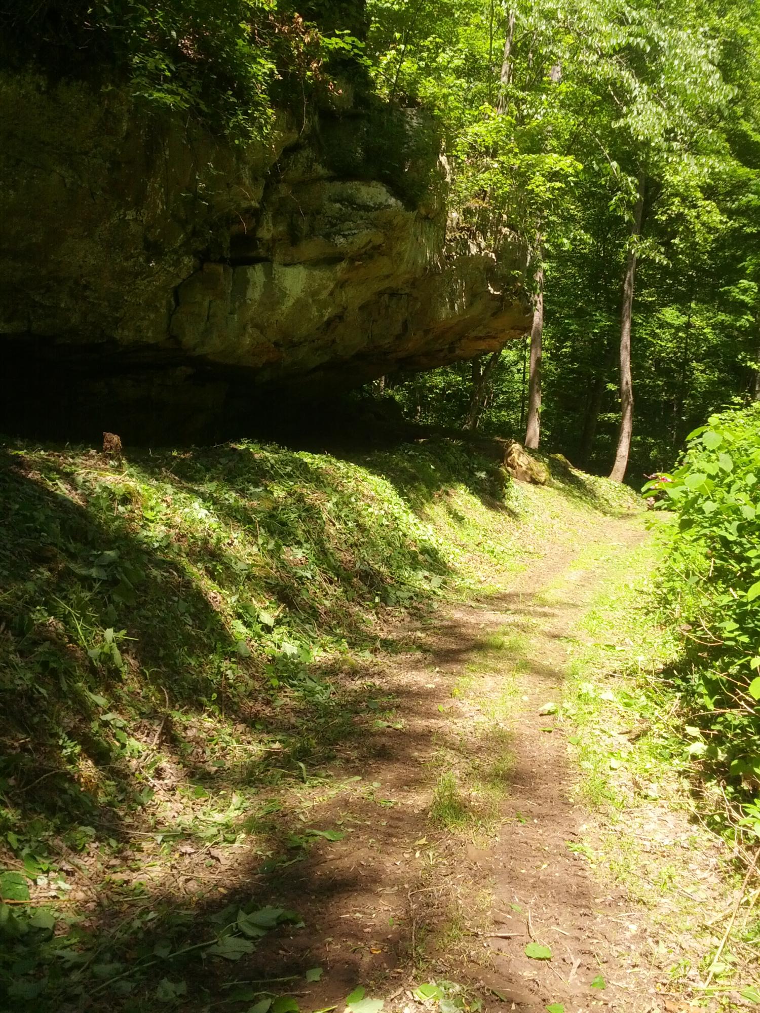 4534 Doubletop Road Jamestown, TN 38556 - Photo 30 of 34 IMG_20130525_112812