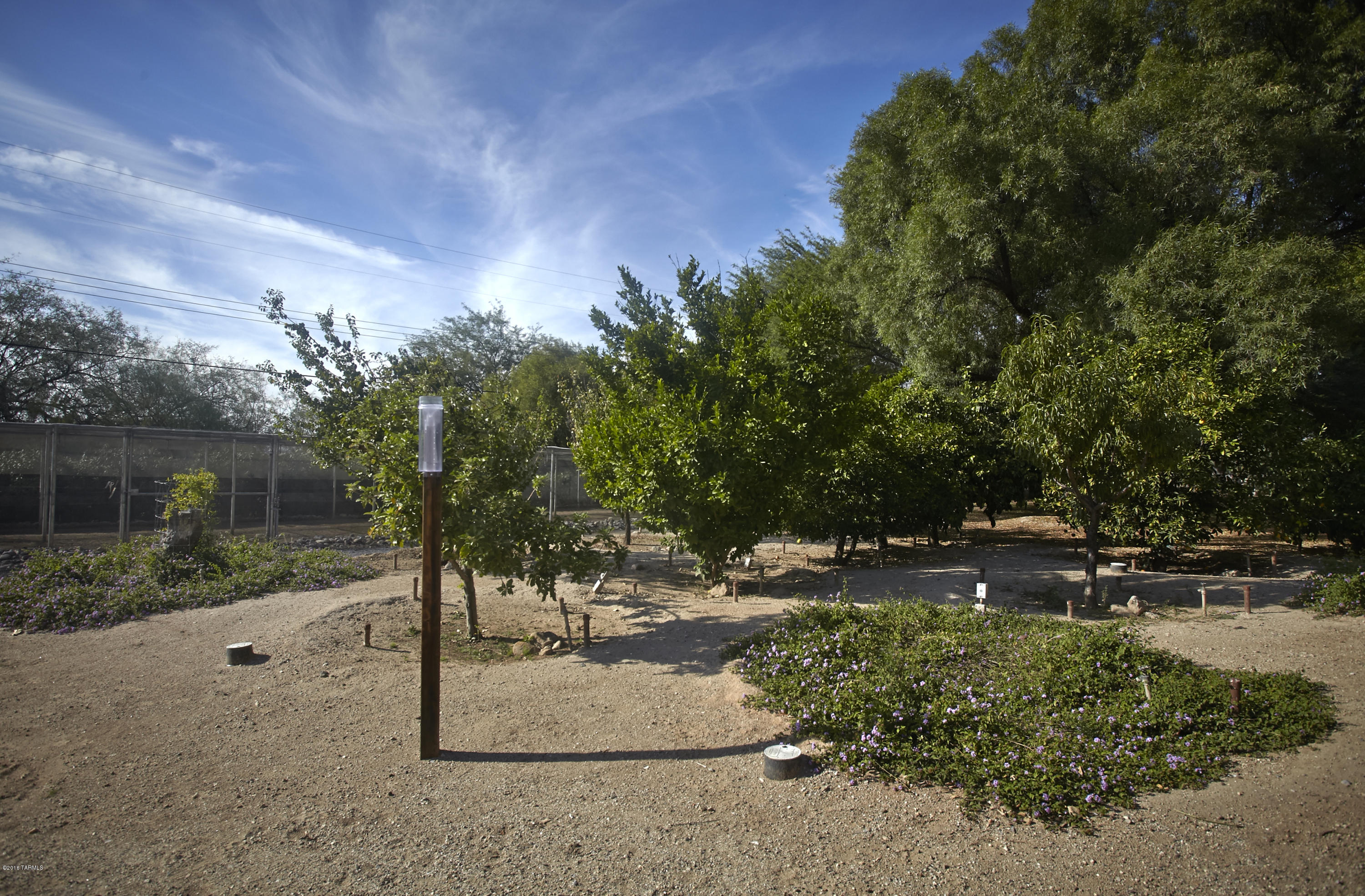 3333 North Webster Road Tucson, AZ 85750 - Photo 45 of 50 Gallery Image 45