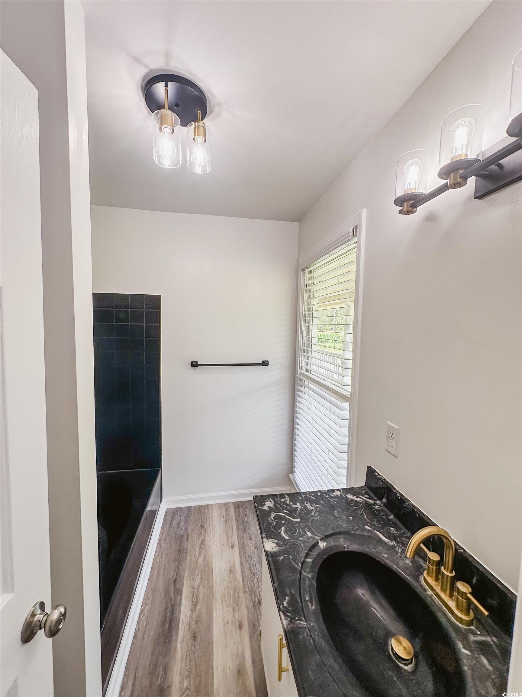 2851 Highway 984 Galivants Ferry, SC 29544 - Photo 19 of 23 Full bath featuring vanity and light wood finished floors