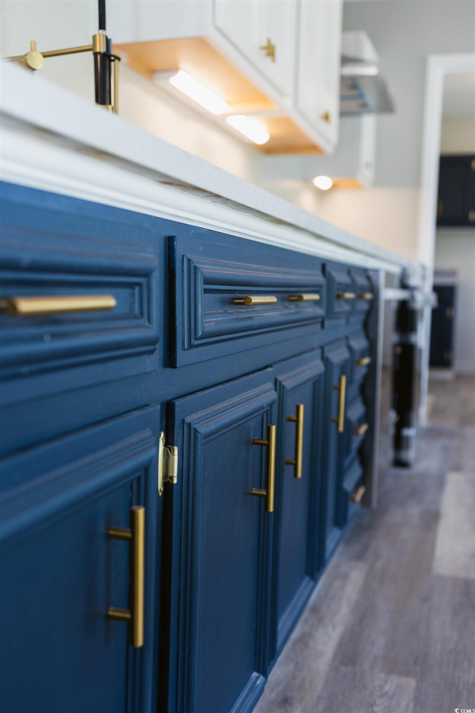 2851 Highway 984 Galivants Ferry, SC 29544 - Photo 21 of 23 Kitchen view of blue cabinetry and dark wood-style floors