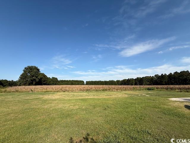 2851 Highway 984 Galivants Ferry, SC 29544 - Photo 6 of 23 View of green lawn featuring a rural view and agricultural area