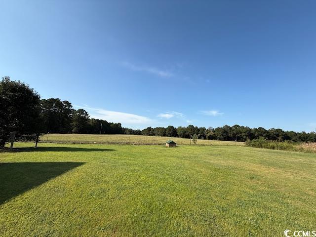 2851 Highway 984 Galivants Ferry, SC 29544 - Photo 7 of 23 View of grassy yard with a view of rural / pastoral area