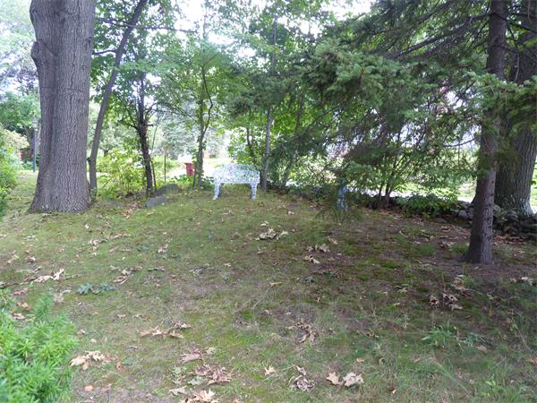 33 Rockingham Avenue Lowell, MA 01851 - Photo 3 of 22 Gallery Image 3