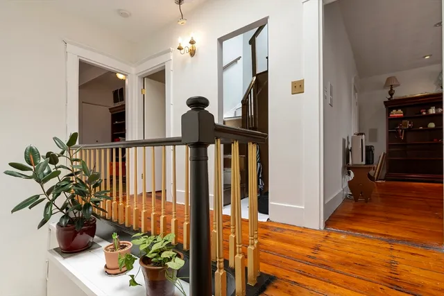 a view of a hallway with wooden floor and a potted plant
