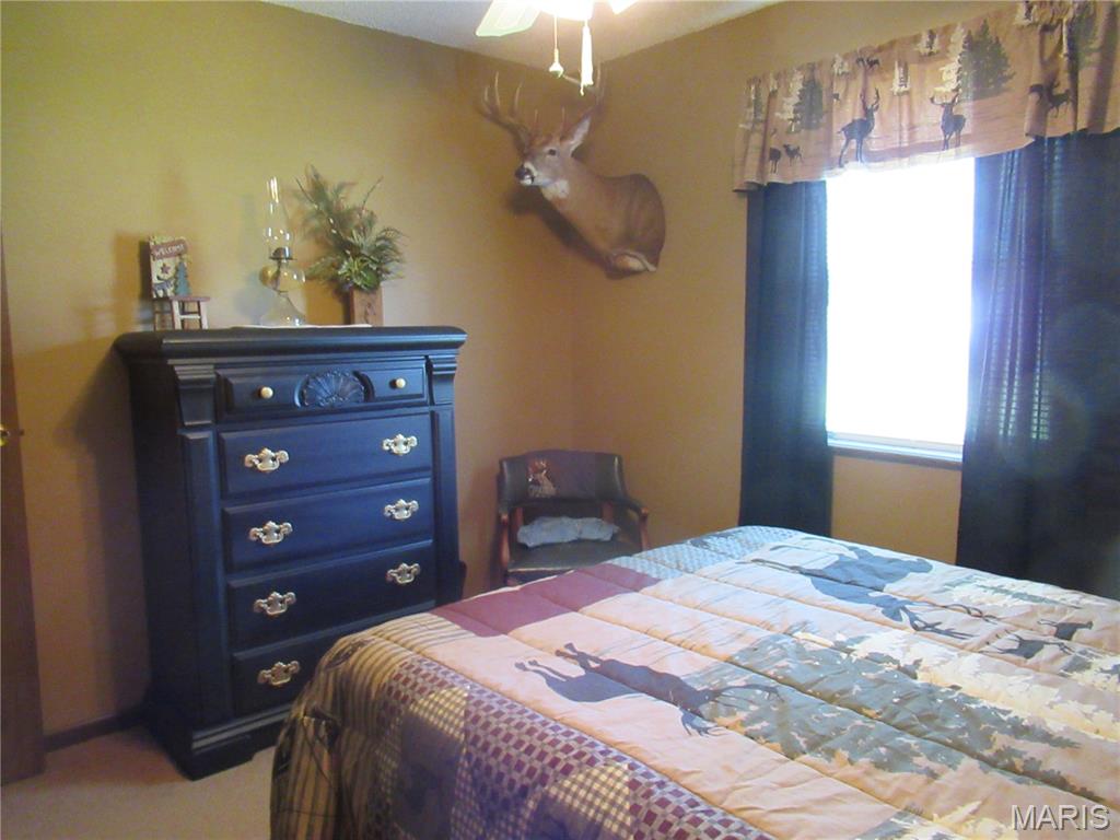 710 Sarah Street Sullivan, MO 63080 - Photo 17 of 35