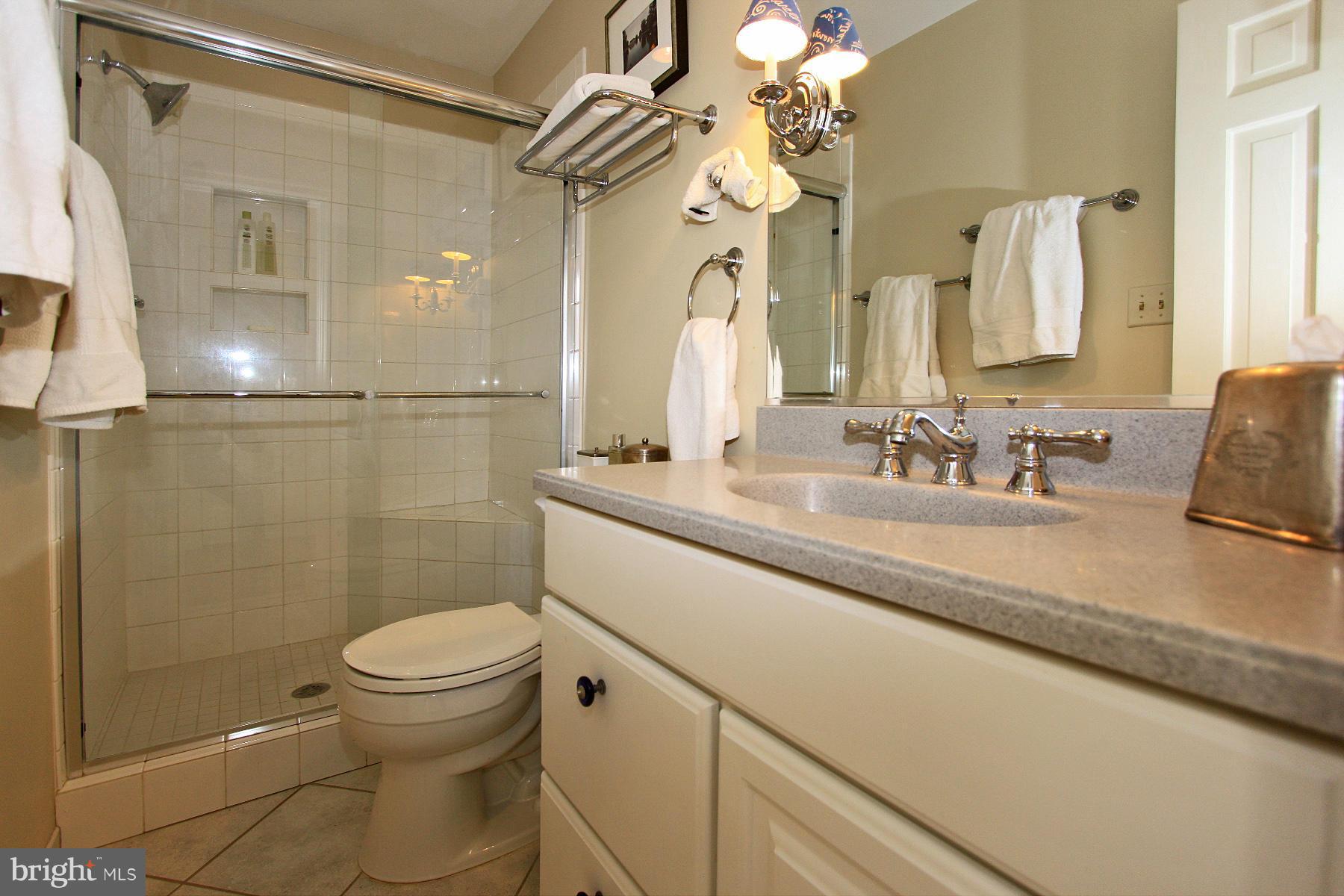 10026 Colvin Run Road Great Falls, VA 22066 - Photo 23 of 30 Bath