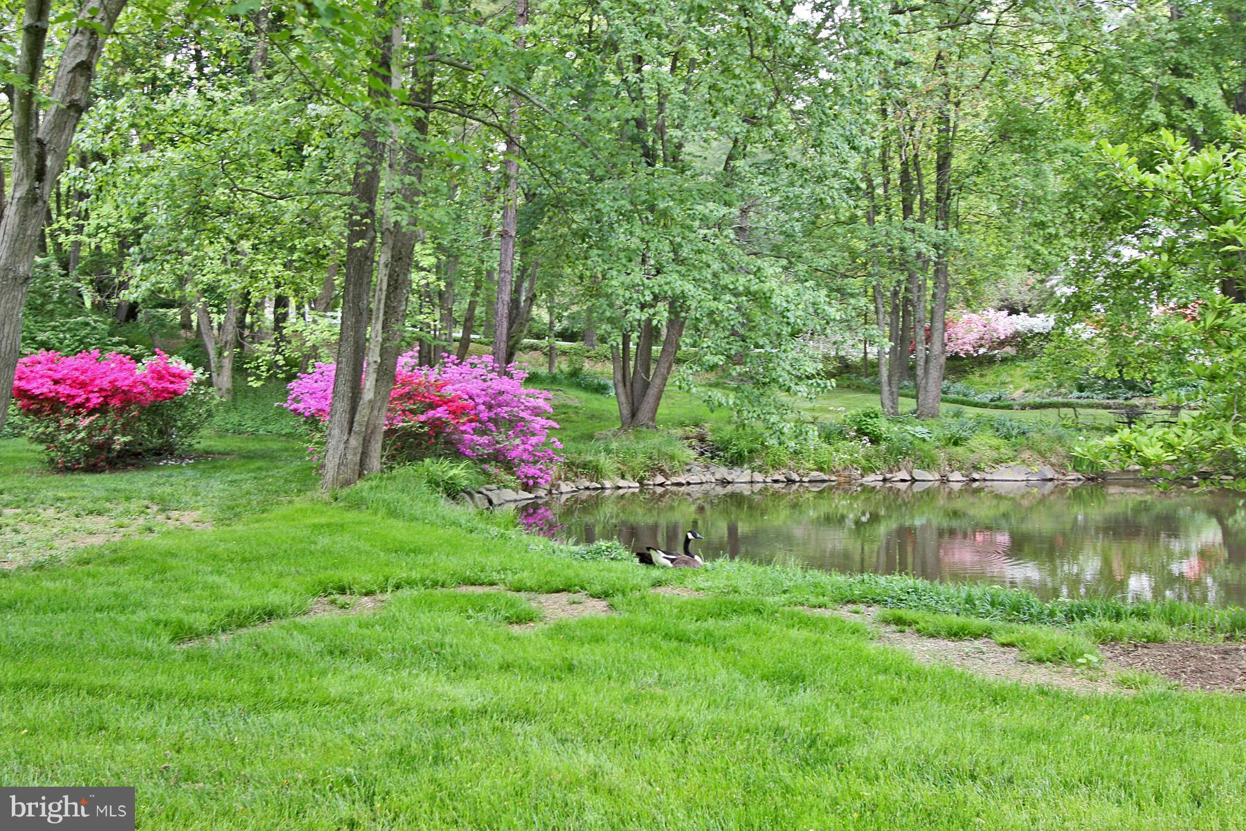 10026 Colvin Run Road Great Falls, VA 22066 - Photo 29 of 30 View