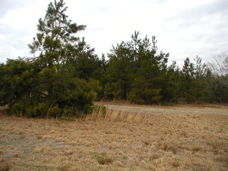 401 Chime Bell Church Road Aiken, SC 29803 - Photo 1 of 1