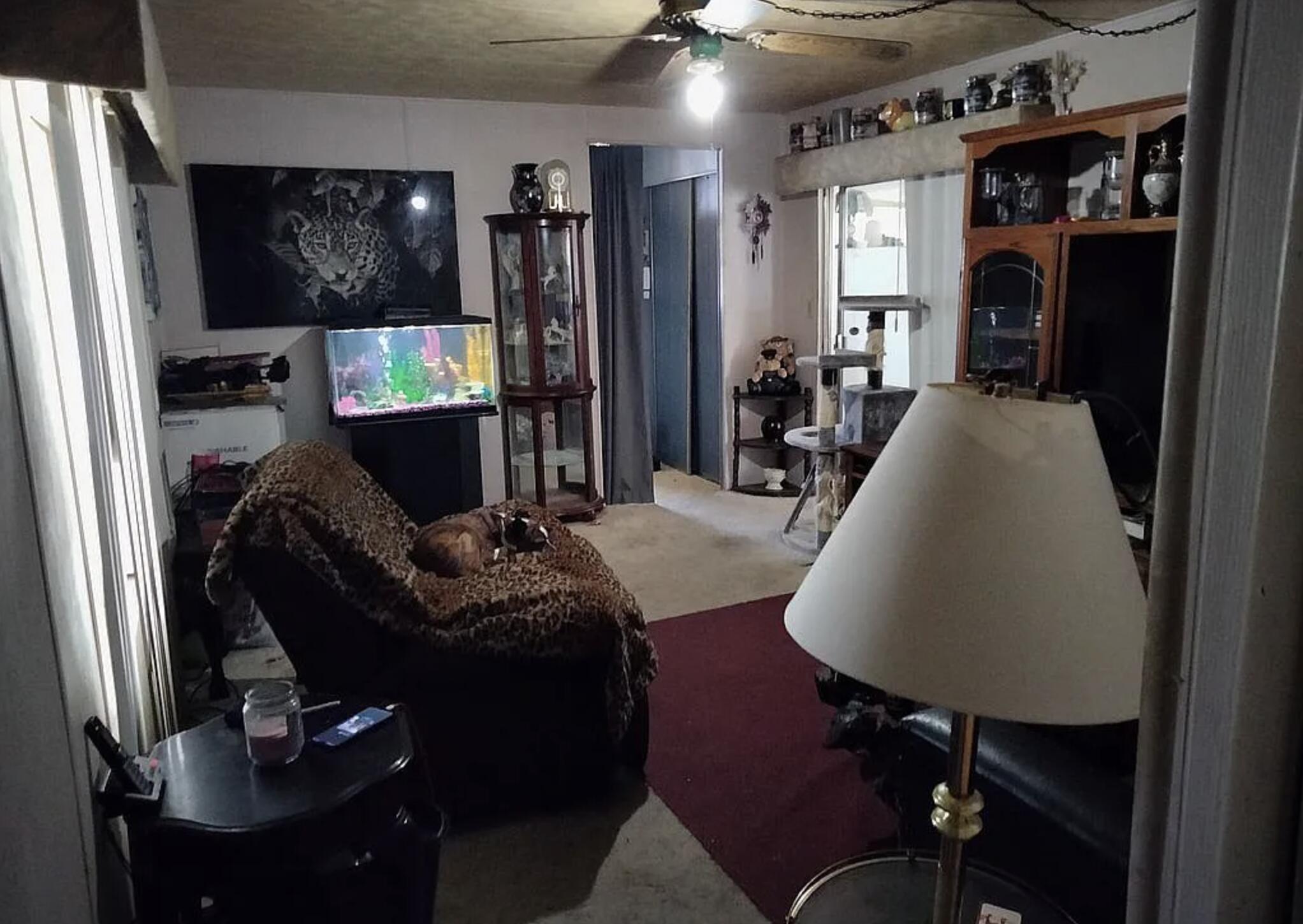 6426 Valley View Street Joshua Tree, CA 92252 - Photo 7 of 15 a living room with furniture and a flat screen tv