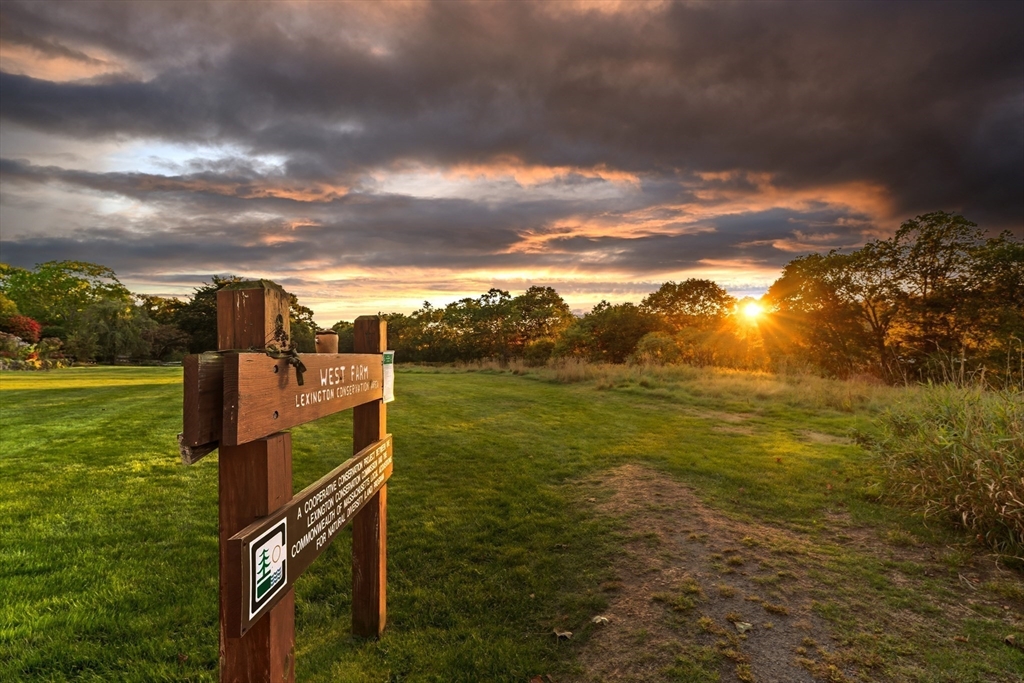 34 Oak Street Lexington, MA 02421 - Photo 32 of 39