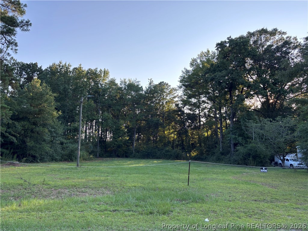 595 Shaw Road St. Pauls, NC 28384 - Photo 28 of 29