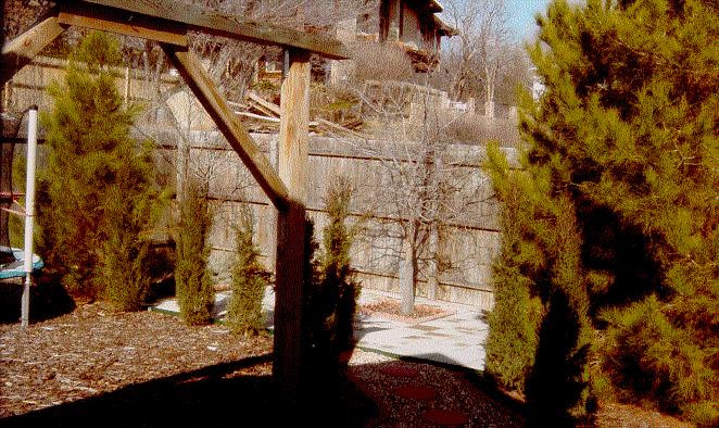 side yard
