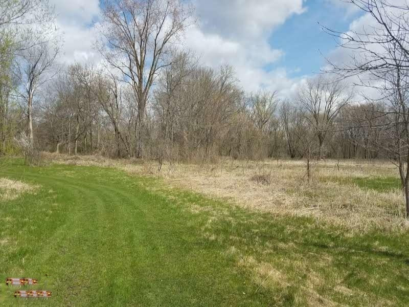 1584 Roshowa Terrace Lyons, MI 48851 - Photo 54 of 88 20190426_113616