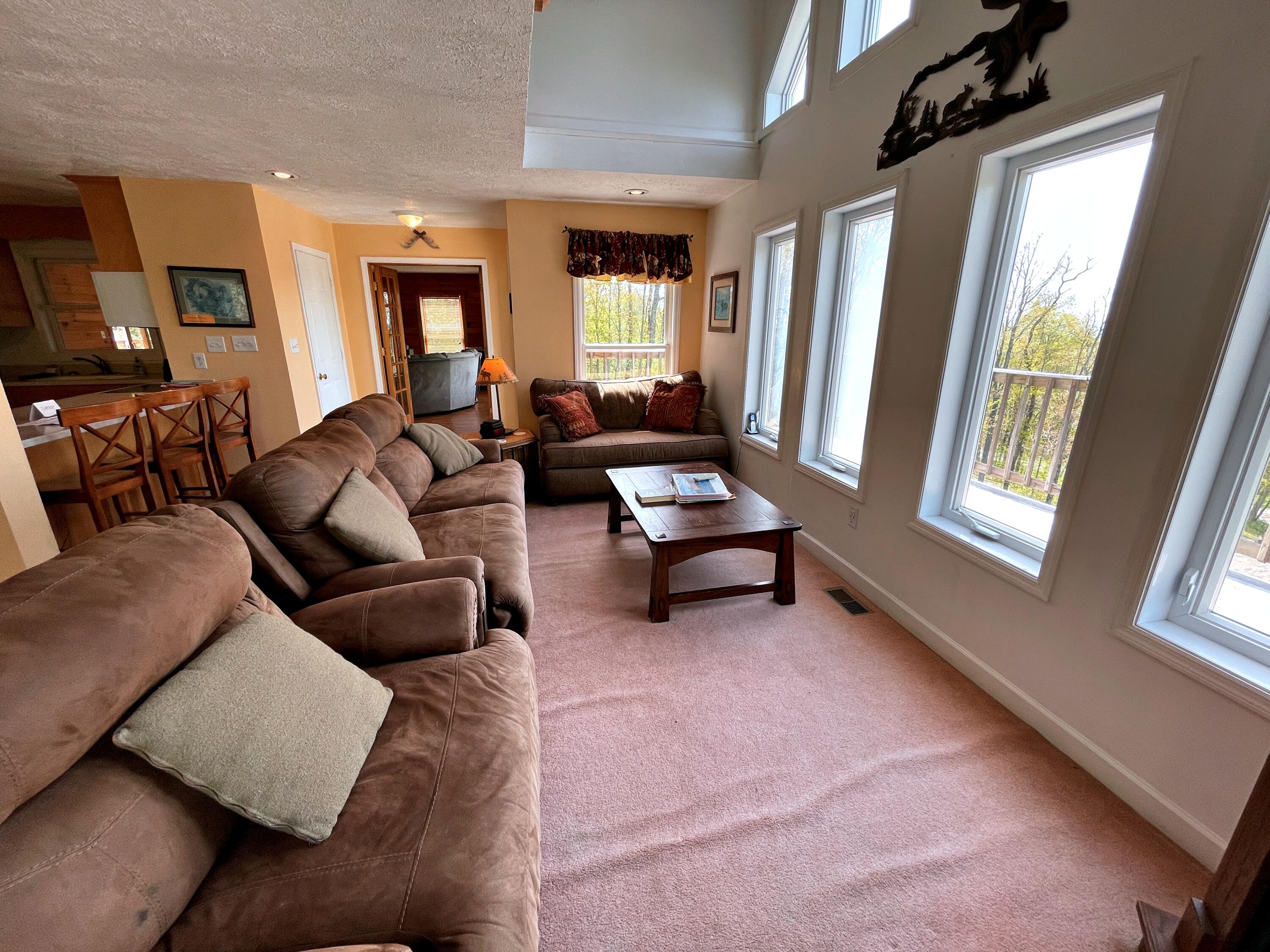 6239 Cass Road Snowshoe, WV 26209 - Photo 12 of 45 Gallery Image 12