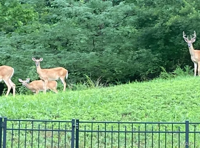 $399,900 | 5360 Amber Meadows Drive, Imperial, MO 63052