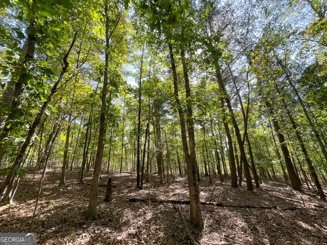 $379,900 | 0 Webb Creek Road, Rome, GA 30161