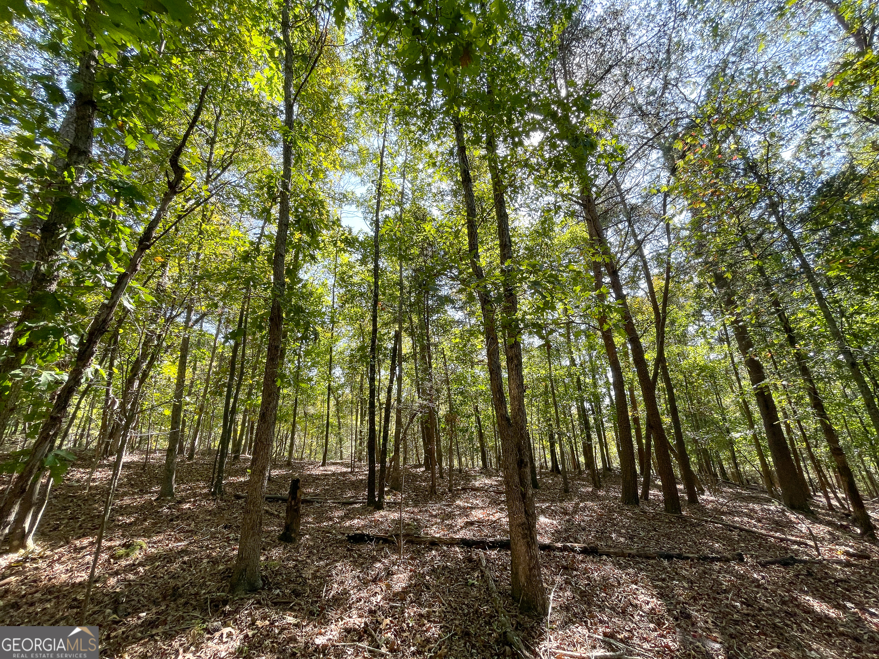 0 Webb Creek Road Rome, GA 30161 - Photo 12 of 25