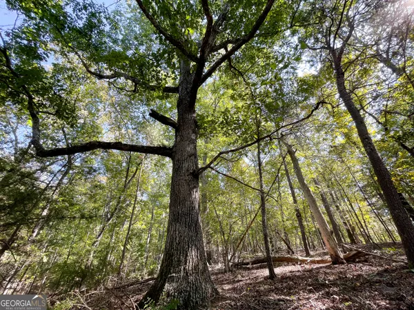 $379,900 | 0 Webb Creek Road, Rome, GA 30161