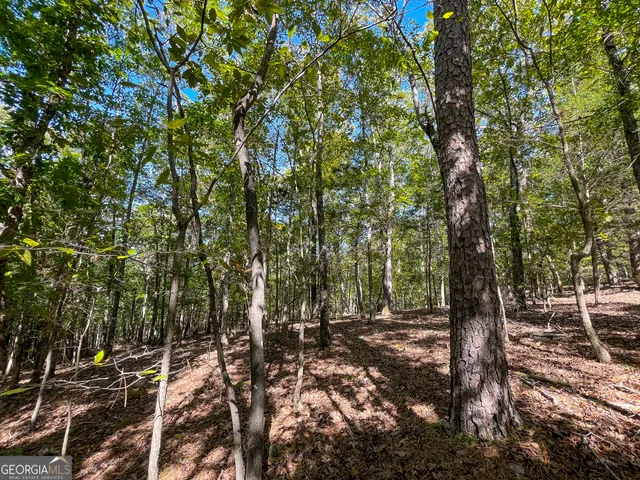 $379,900 | 0 Webb Creek Road, Rome, GA 30161