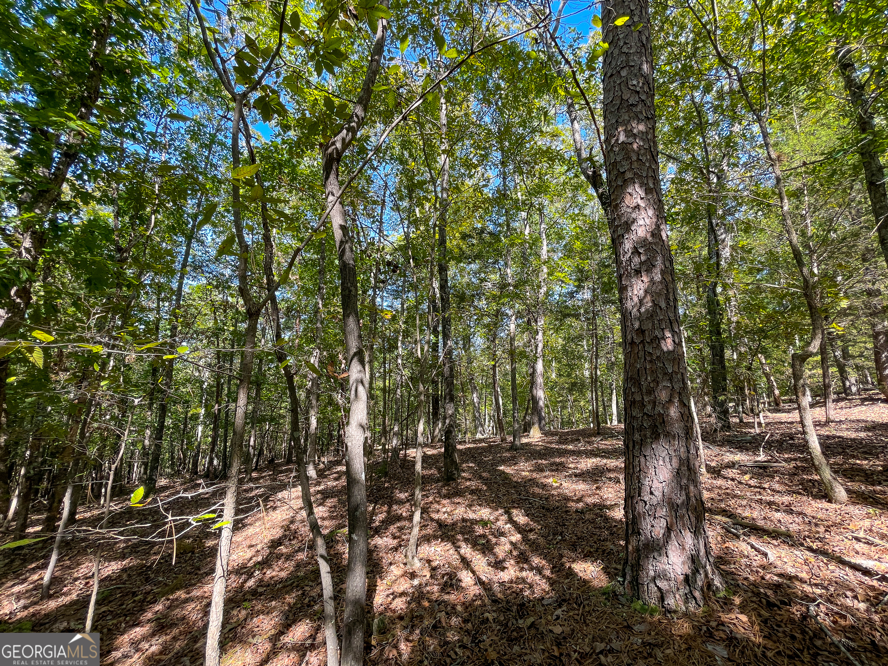 0 Webb Creek Road Rome, GA 30161 - Photo 3 of 25