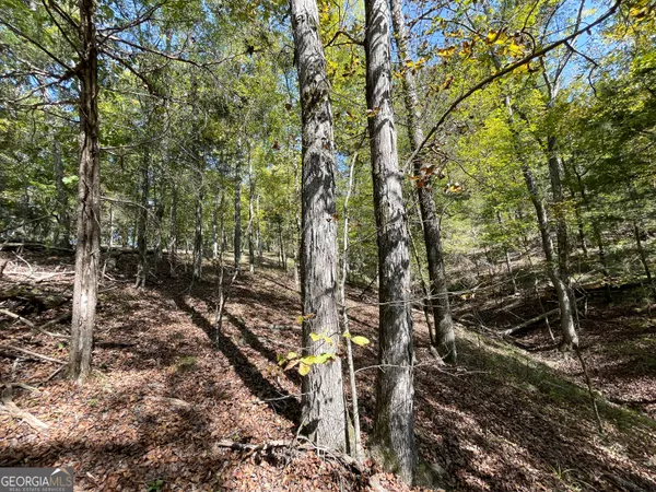 $379,900 | 0 Webb Creek Road, Rome, GA 30161