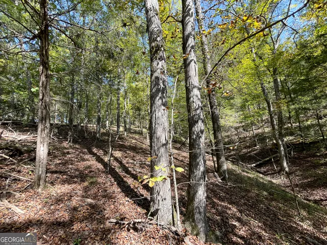 $379,900 | 0 Webb Creek Road, Rome, GA 30161