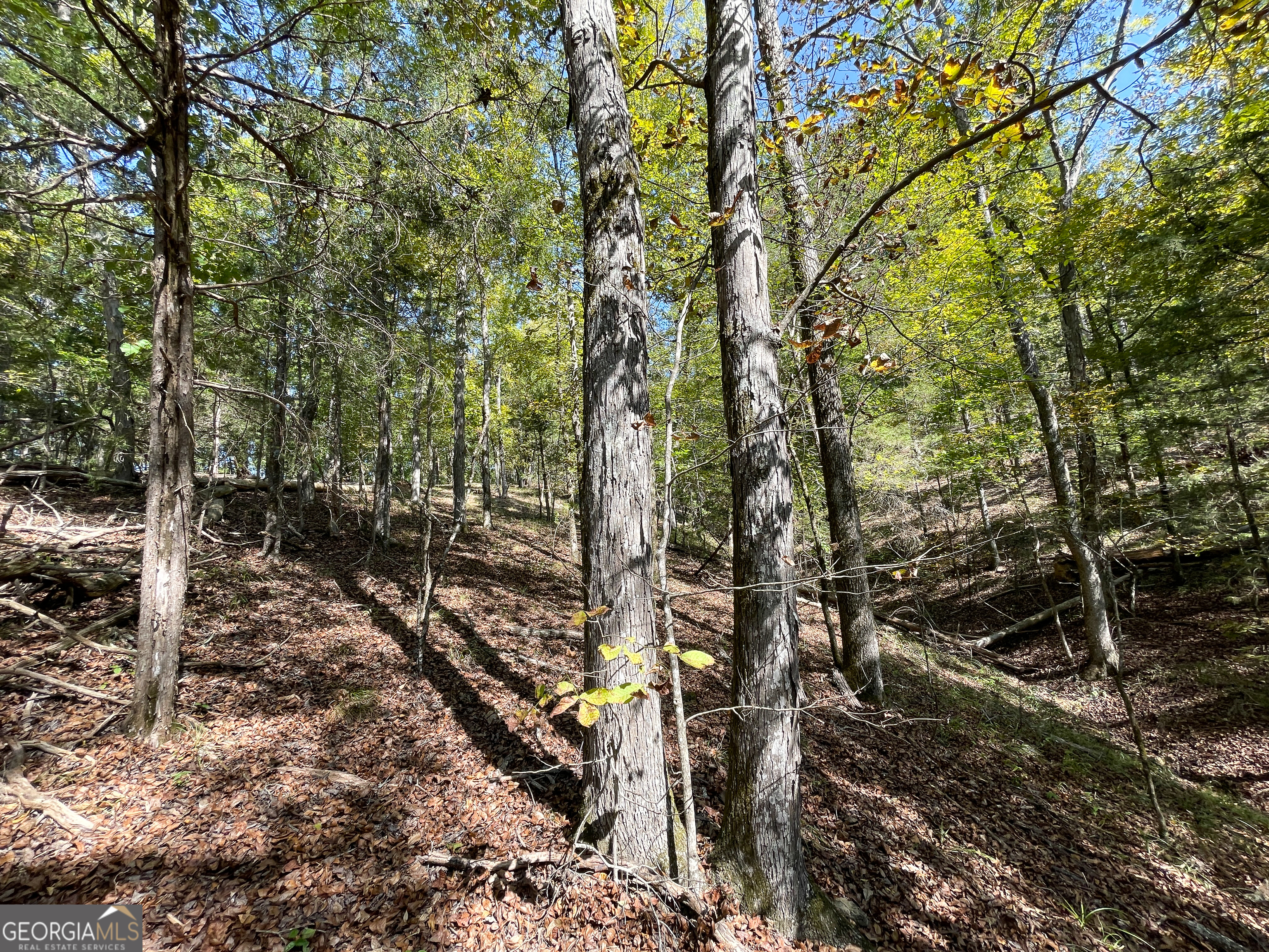 0 Webb Creek Road Rome, GA 30161 - Photo 5 of 25