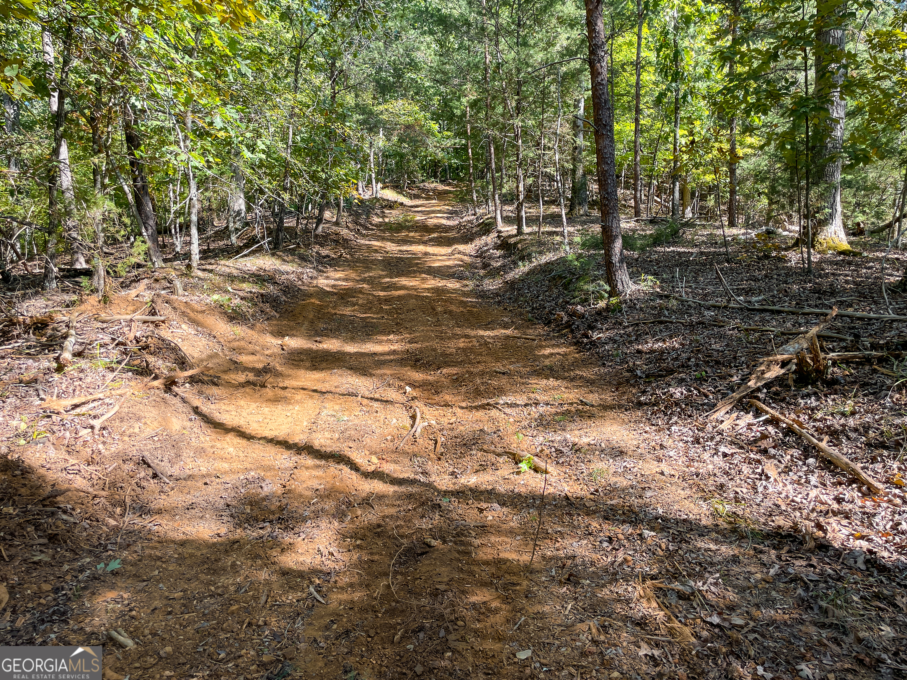 0 Webb Creek Road Rome, GA 30161 - Photo 7 of 25