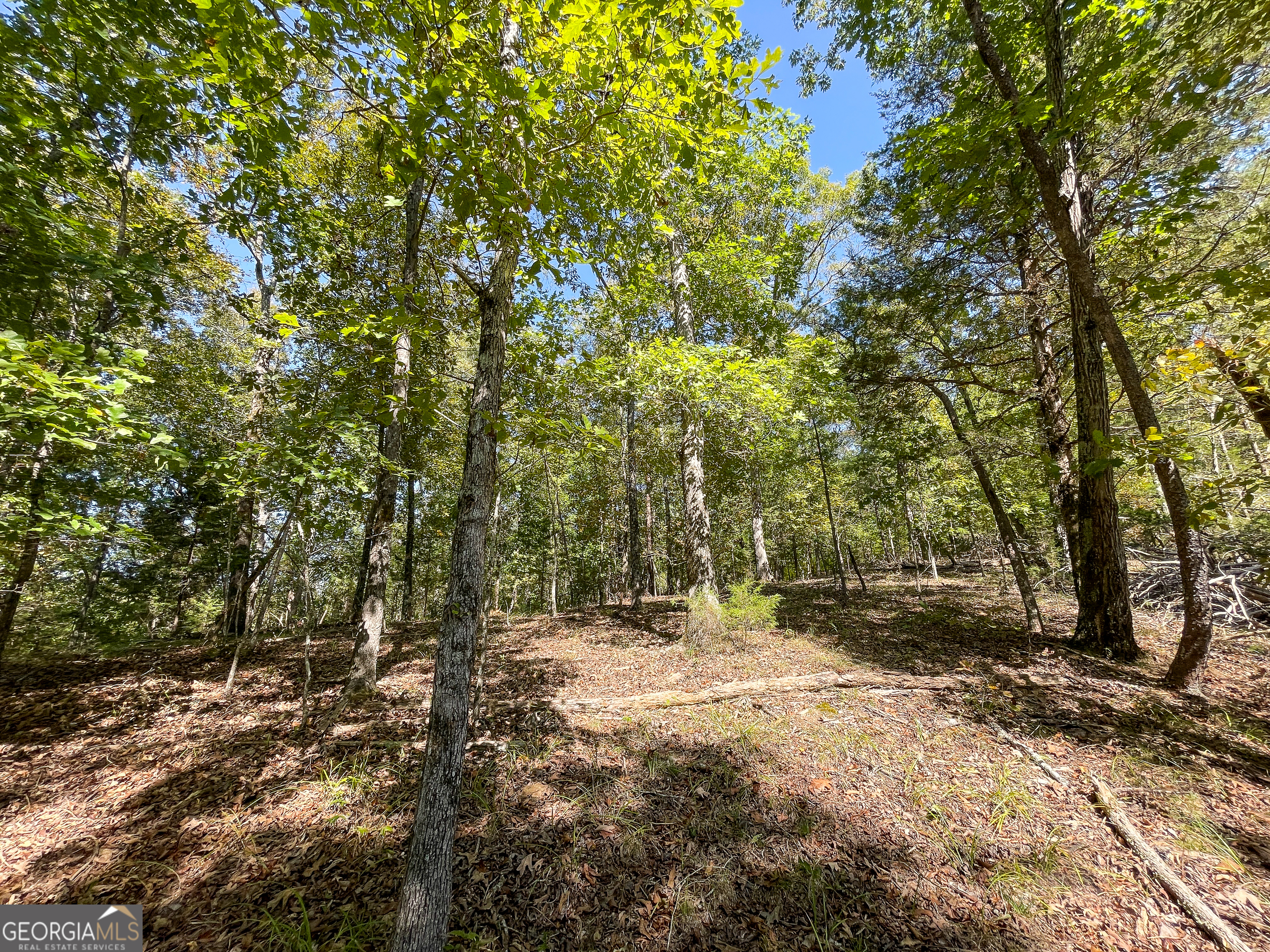 0 Webb Creek Road Rome, GA 30161 - Photo 9 of 25