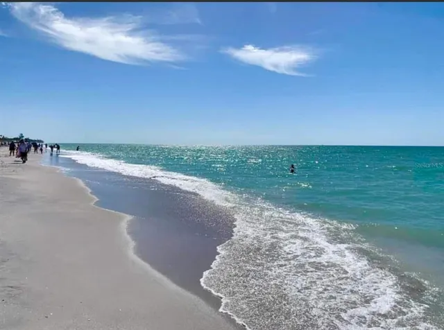 a view of a beach with an ocean