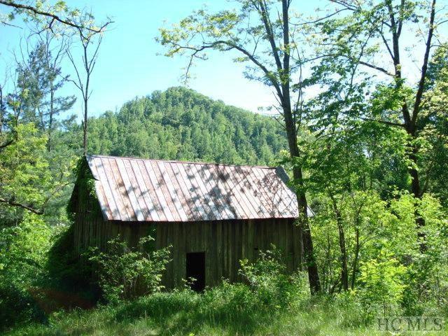 0 Ellijay Road Franklin, NC 28734 - Photo 1 of 22 Gallery Image 1