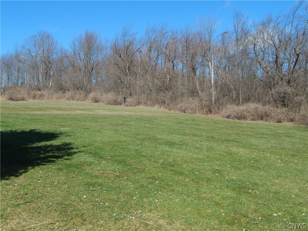 6534 Thunder Road LaFayette, NY 13084 - Photo 40 of 47