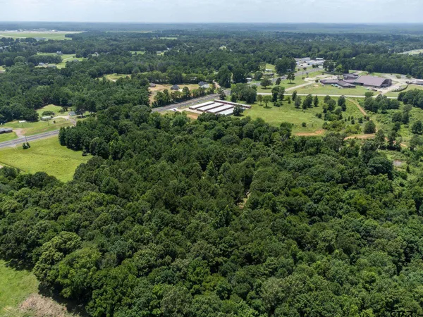 an aerial view of residential houses with outdoor space and trees