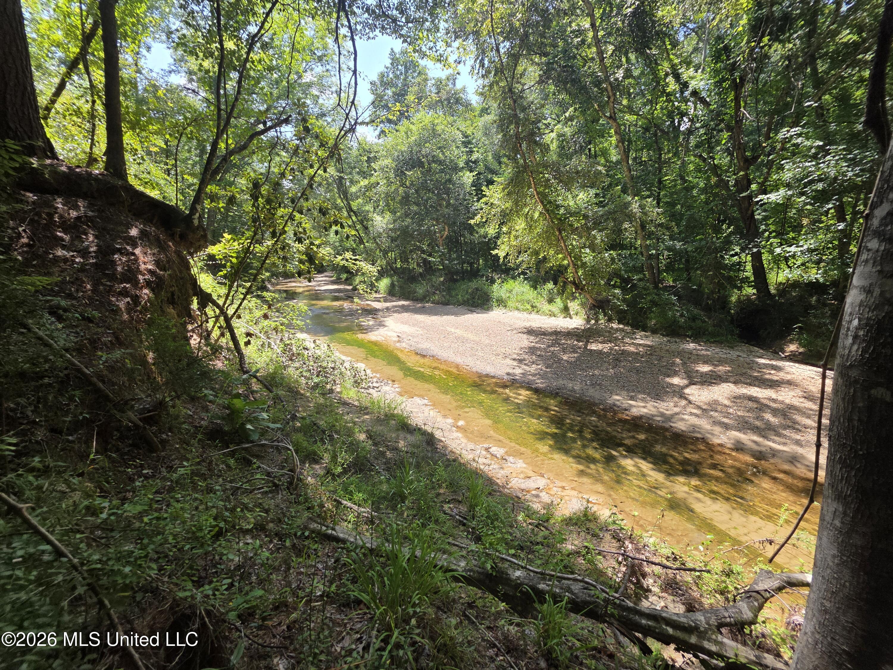 Oldenburg Road Roxie, MS 39661 - Photo 33 of 87 38119