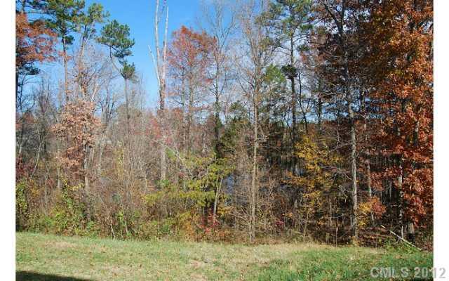 104 Austin Run Court Kannapolis, NC 28083 - Photo 15 of 16 a view of a yard