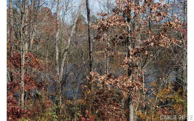 104 Austin Run Court Kannapolis, NC 28083 - Photo 16 of 16 a view of a tree