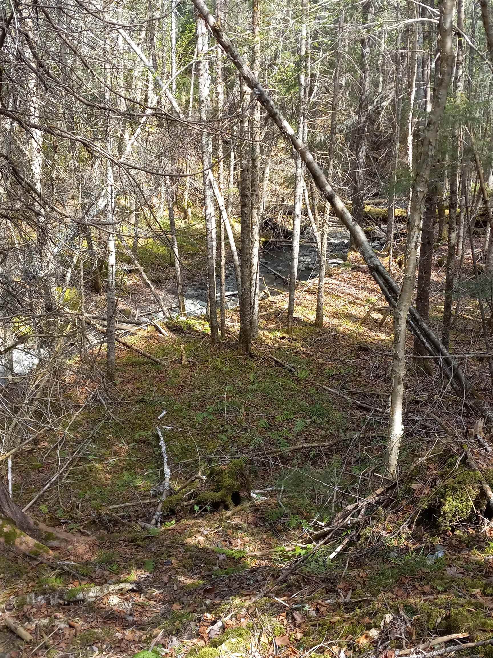 - Harrys Way Colebrook, NH 03576 - Photo 54 of 59