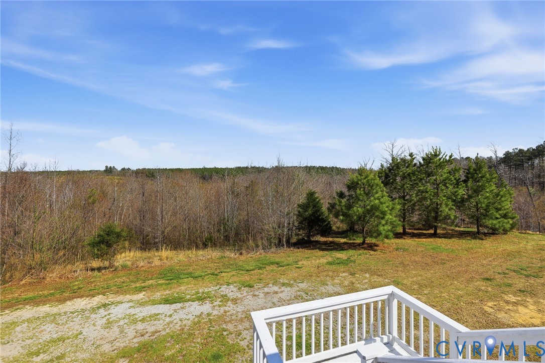484 Dobbins Bridge Road Blackstone, VA 23824 - Photo 32 of 68