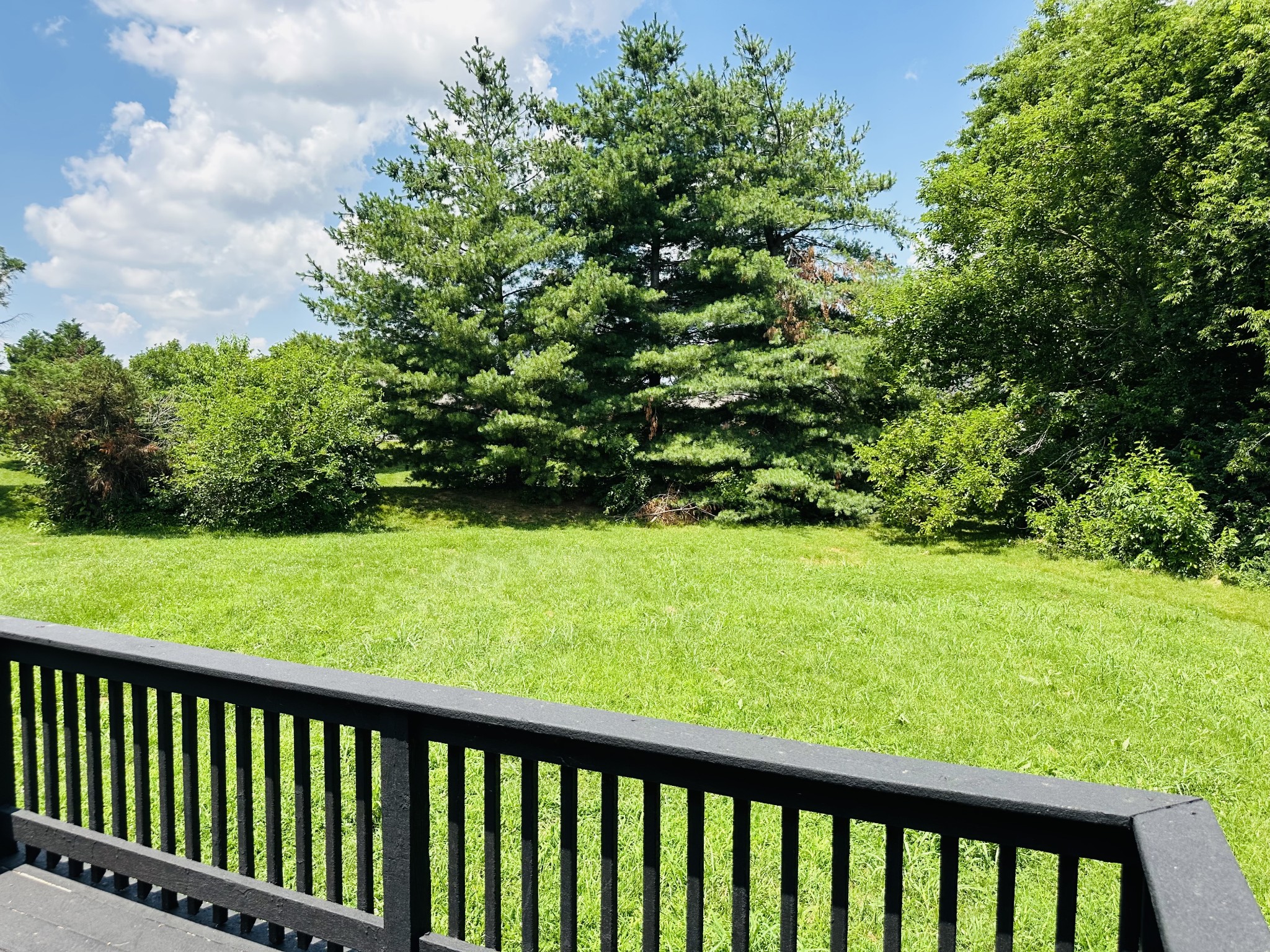 586 Foxfield Road Hopkinsville, KY 42240 - Photo 16 of 16 a view of a yard