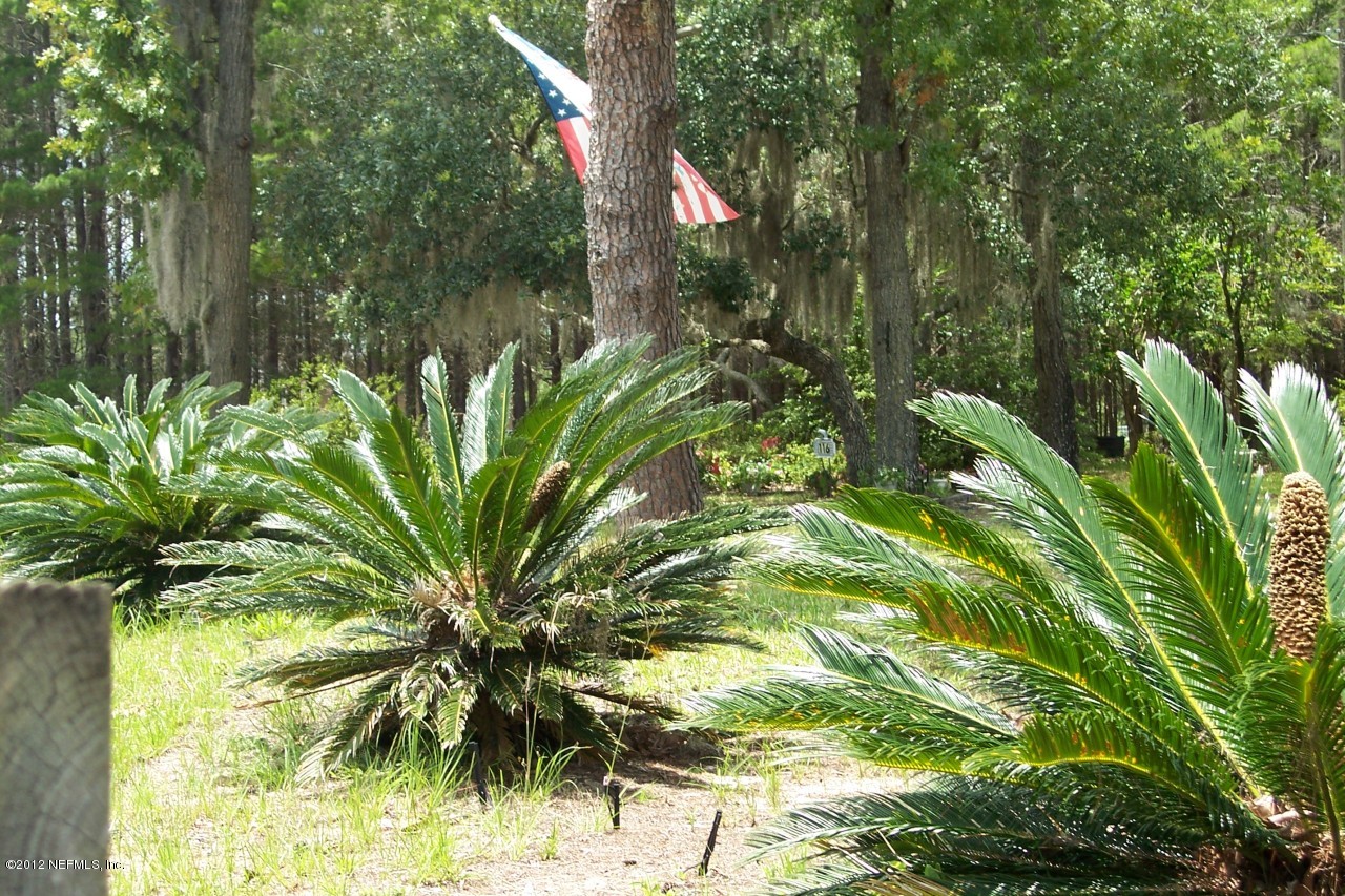116 Ketner Road Welaka, FL 32112 - Photo 8 of 32 Nice landscaping