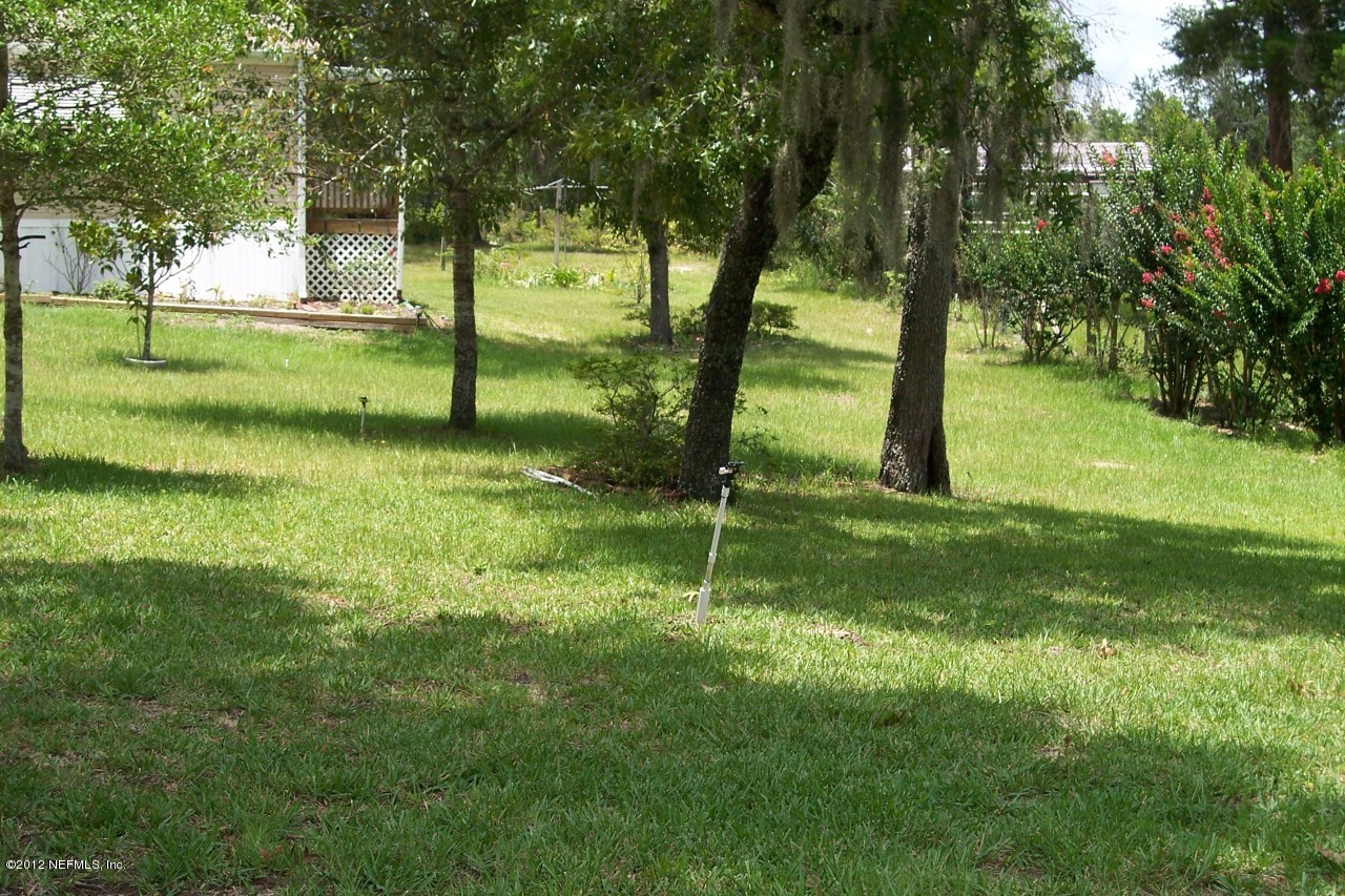116 Ketner Road Welaka, FL 32112 - Photo 9 of 32 SideYard