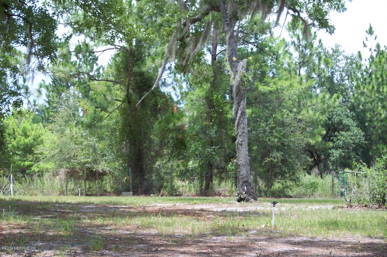 116 Ketner Road Welaka, FL 32112 - Photo 10 of 32 Back yard