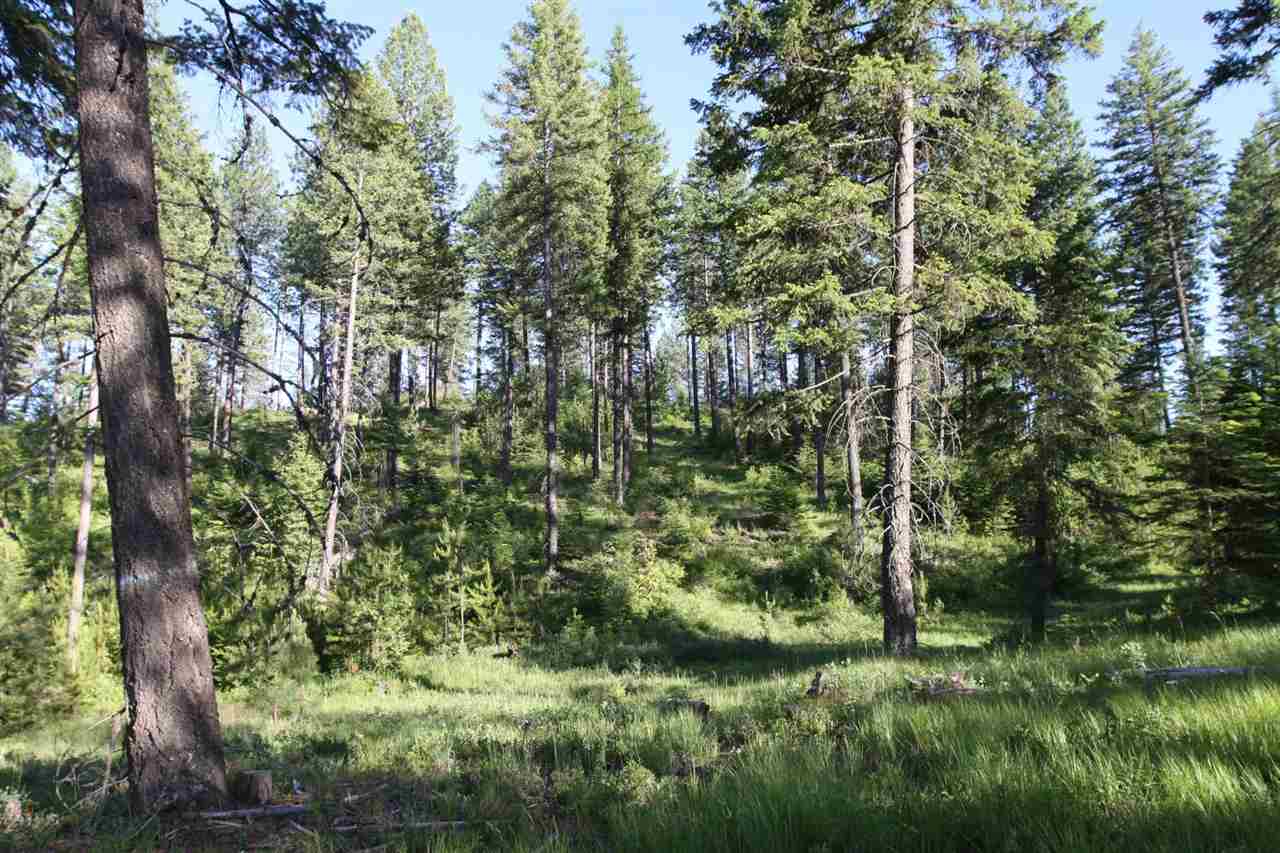2103 Green Road Newport, WA 99156 - Photo 4 of 7